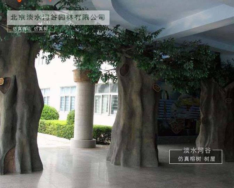 保鲜树在衢州的广泛应用