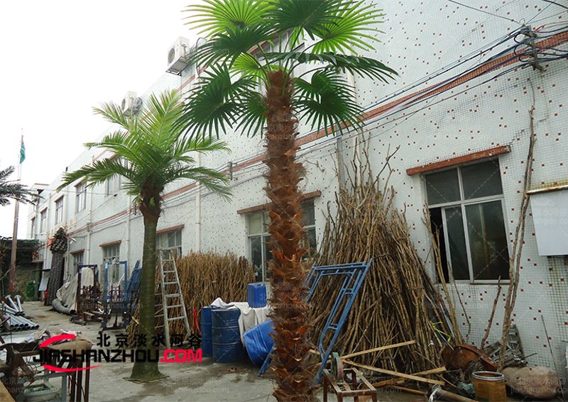 衢州保鲜树：让城市环境更加清新宜人